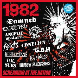 CD 1982. Screaming At The Nation 