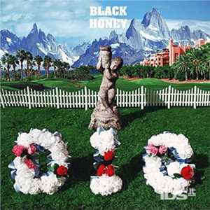 Vinile Dig Black Honey